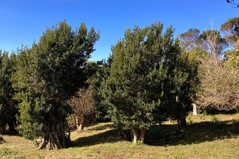 Ruinere i Horta, Faial, Horta - € 110.000 | Ref: 374230031 - foto 10