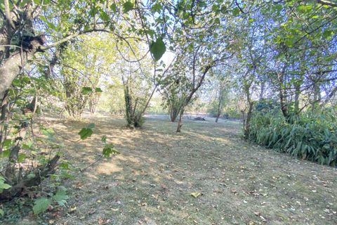 Villa i Limoux, Aude, Limoux - € 330.000 | Ref: 8796-D - foto 24