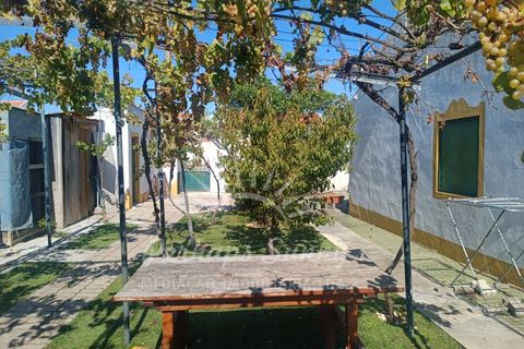 Villa a Comporta, Setubal, Comporta - € 799.000 | Ref: PHS559/23 - foto 3