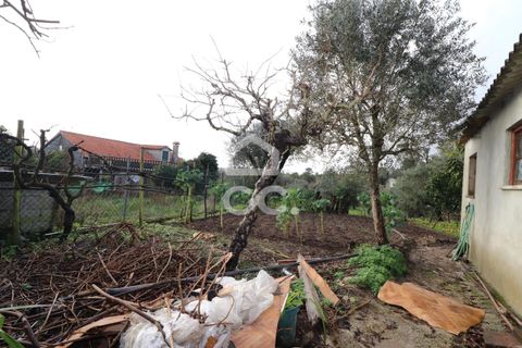 Villa i Ansiao, Leiria, Ansiao - € 75.000 | Ref: 385/M/00672 - foto 17