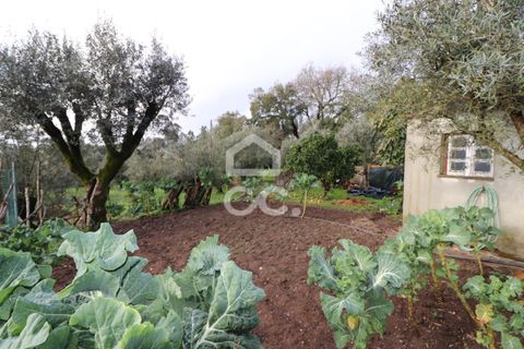 Villa i Ansiao, Leiria, Ansiao - € 75.000 | Ref: 385/M/00672 - foto 18