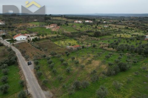 Terra a Ladoeiro, Castelo Branco, Ladoeiro - € 32.900 | Ref: 4615 - foto 3