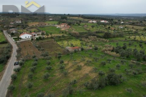 Terra a Ladoeiro, Castelo Branco, Ladoeiro - € 32.900 | Ref: 4615 - foto 4