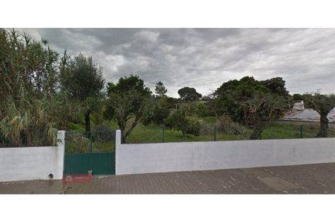 Farm i Coruche, Santarem, Coruche - € 478.000 | Ref: TPH231-03 - foto 5