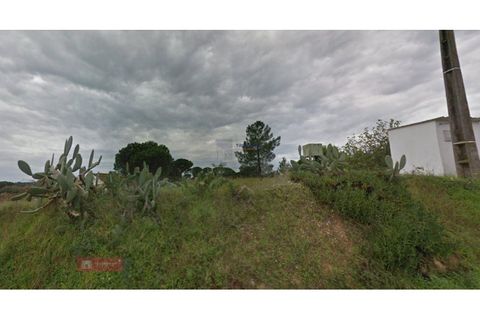 Farm i Coruche, Santarem, Coruche - € 478.000 | Ref: TPH231-03 - foto 6