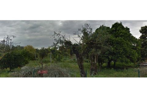 Farm i Coruche, Santarem, Coruche - € 478.000 | Ref: TPH231-03 - foto 8