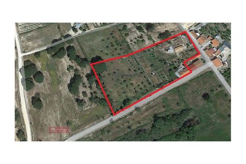Farm i Coruche, Santarem, Coruche - € 478.000 | Ref: TPH231-03 - foto 9