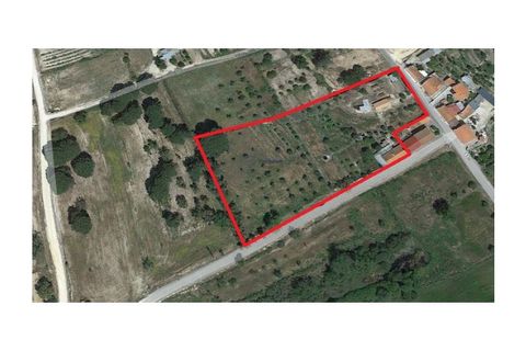 Farm i Coruche, Santarem, Coruche - € 478.000 | Ref: TPH231-03 - foto 10