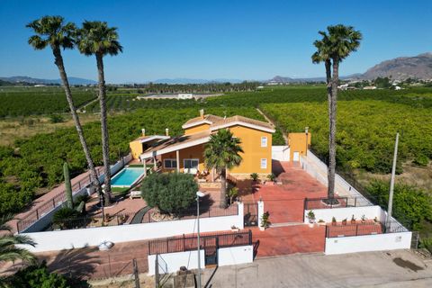 Finca i Orihuela, Alicante - foto 1