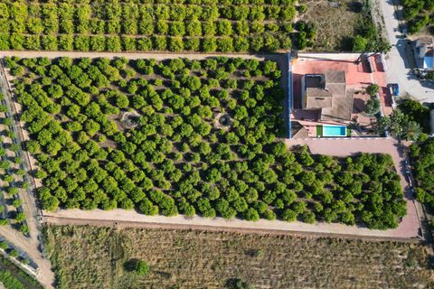 Finca i Orihuela, Alicante - foto 3