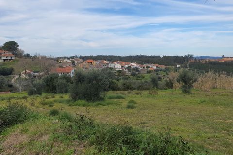 Helårsgrund i Tomar, Santarem, Tomar - € 32.000 | Ref: SÒL_233 - foto 2