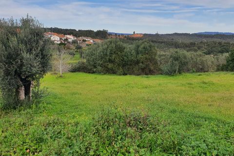 Helårsgrund i Tomar, Santarem, Tomar - € 32.000 | Ref: SÒL_233 - foto 3