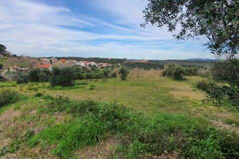 Helårsgrund i Tomar, Santarem, Tomar - € 32.000 | Ref: SÒL_233 - foto 4
