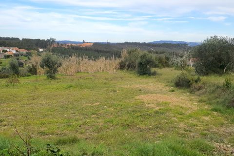 Helårsgrund i Tomar, Santarem, Tomar - € 32.000 | Ref: SÒL_233 - foto 7