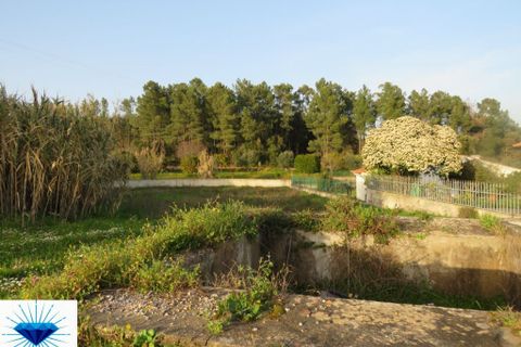 Helårsgrund i Tomar, Santarem, Tomar - € 35.000 | Ref: 0073 - foto 1