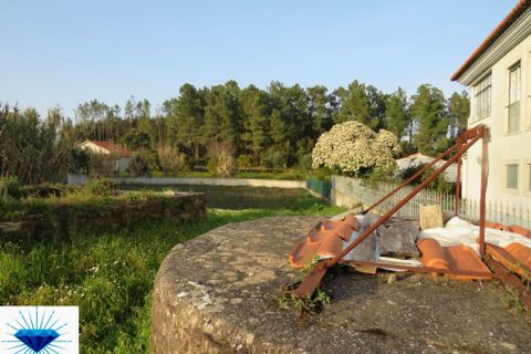 Helårsgrund i Tomar, Santarem, Tomar - € 35.000 | Ref: 0073 - foto 2