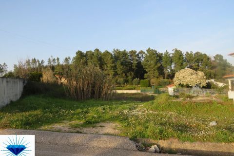 Helårsgrund i Tomar, Santarem, Tomar - € 35.000 | Ref: 0073 - foto 3