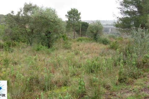 Helårsgrund i Tomar, Santarem, Tomar - € 85.000 | Ref: 00180 - foto 2