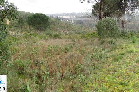 Helårsgrund i Tomar, Santarem, Tomar - € 85.000 | Ref: 00180 - foto 3