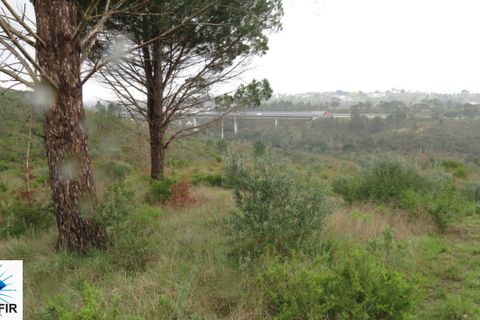 Helårsgrund i Tomar, Santarem, Tomar - € 85.000 | Ref: 00180 - foto 5