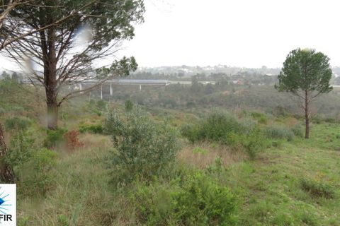 Helårsgrund i Tomar, Santarem, Tomar - € 85.000 | Ref: 00180 - foto 6