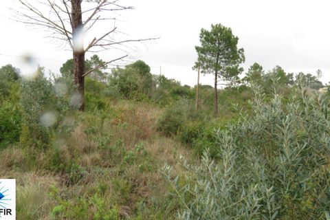 Helårsgrund i Tomar, Santarem, Tomar - € 85.000 | Ref: 00180 - foto 7