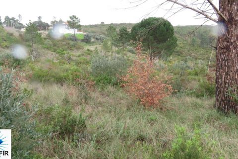 Helårsgrund i Tomar, Santarem, Tomar - € 85.000 | Ref: 00180 - foto 8