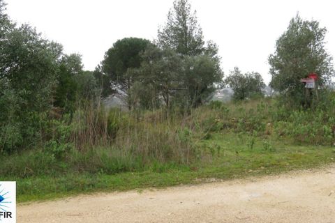 Helårsgrund i Tomar, Santarem, Tomar - € 85.000 | Ref: 00180 - foto 9