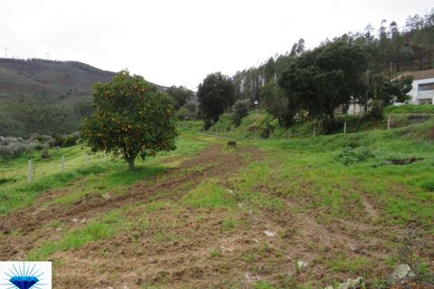Villa i Macao, Santarem, Macao - € 47.500 | Ref: 00165 - foto 10