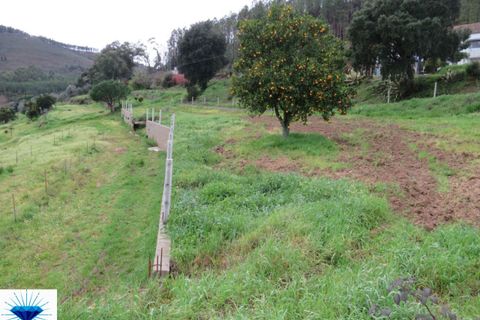 Villa i Macao, Santarem, Macao - € 47.500 | Ref: 00165 - foto 11