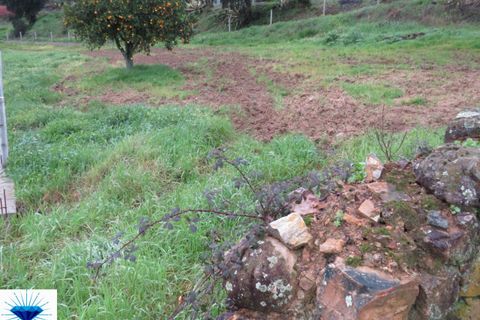 Villa i Macao, Santarem, Macao - € 47.500 | Ref: 00165 - foto 12