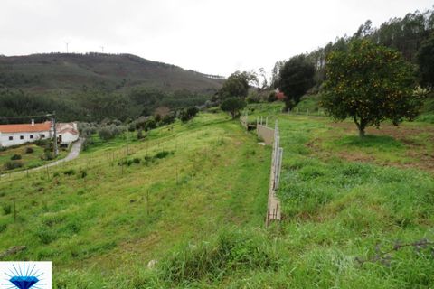 Villa i Macao, Santarem, Macao - € 47.500 | Ref: 00165 - foto 15