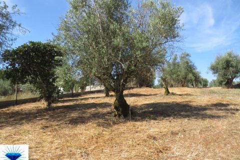 Villa a Alvaiazere, Leiria, Alvaiazere - € 49.000 | Ref: 00197 - foto 4