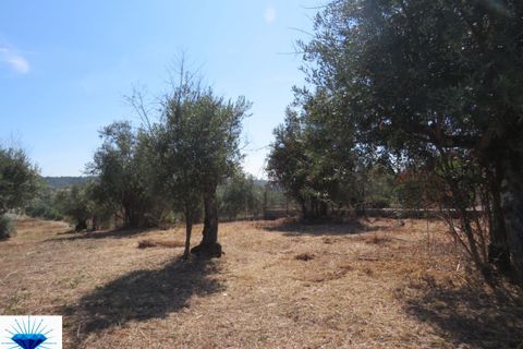 Villa a Alvaiazere, Leiria, Alvaiazere - € 49.000 | Ref: 00197 - foto 5