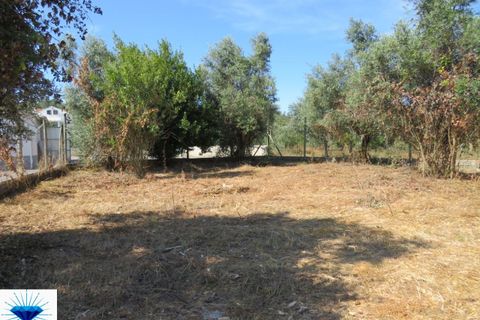Villa a Alvaiazere, Leiria, Alvaiazere - € 49.000 | Ref: 00197 - foto 6