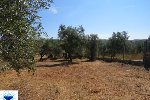 Villa a Alvaiazere, Leiria, Alvaiazere - € 49.000 | Ref: 00197 - foto 7