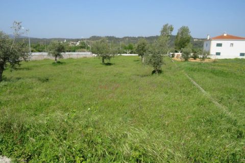 Helårsgrund i Ourem, Santarem, Ourem - € 49.000 | Ref: 0007 - foto 3