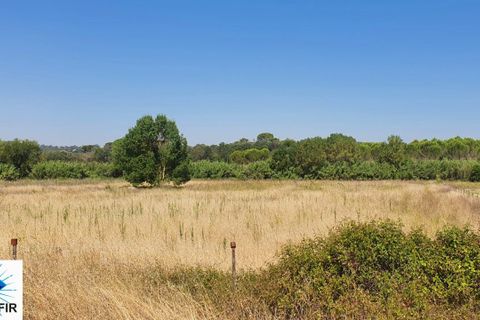 Helårsgrund i Tomar, Santarem, Tomar - € 130.000 | Ref: 00241 - foto 1