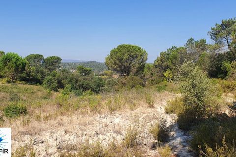 Helårsgrund i Tomar, Santarem, Tomar - € 130.000 | Ref: 00241 - foto 2