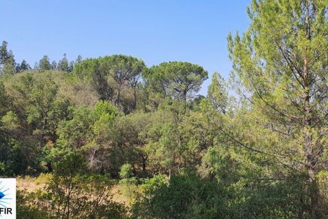 Helårsgrund i Tomar, Santarem, Tomar - € 130.000 | Ref: 00241 - foto 3