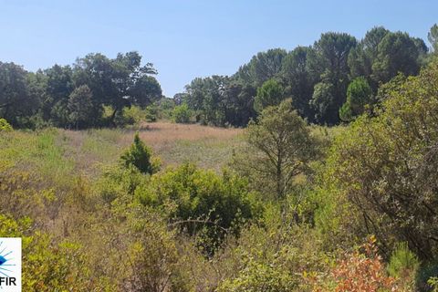 Helårsgrund i Tomar, Santarem, Tomar - € 130.000 | Ref: 00241 - foto 4