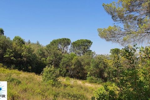 Helårsgrund i Tomar, Santarem, Tomar - € 130.000 | Ref: 00241 - foto 5