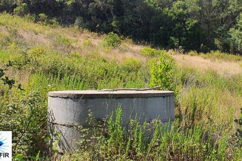 Helårsgrund i Tomar, Santarem, Tomar - € 130.000 | Ref: 00241 - foto 6