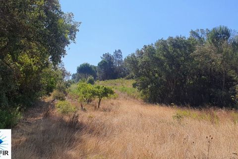 Helårsgrund i Tomar, Santarem, Tomar - € 130.000 | Ref: 00241 - foto 7