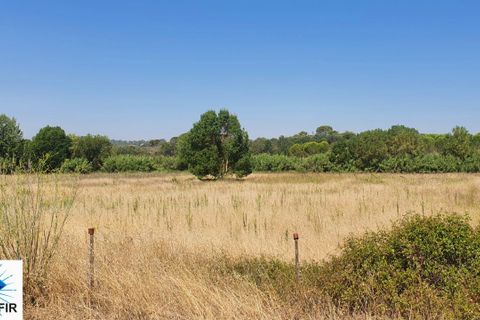 Helårsgrund i Tomar, Santarem, Tomar - € 130.000 | Ref: 00241 - foto 8