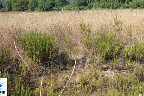 Helårsgrund i Tomar, Santarem, Tomar - € 130.000 | Ref: 00241 - foto 9