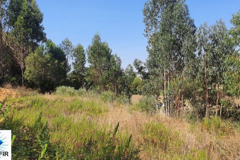 Helårsgrund i Tomar, Santarem, Tomar - € 130.000 | Ref: 00241 - foto 12