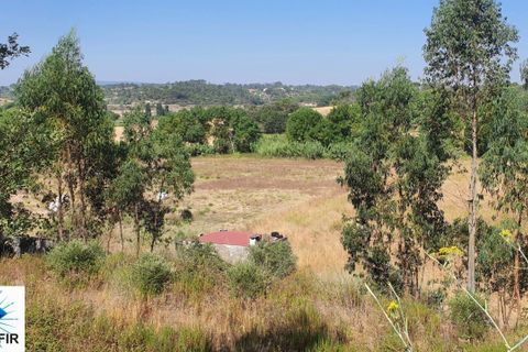 Helårsgrund i Tomar, Santarem, Tomar - € 130.000 | Ref: 00241 - foto 13