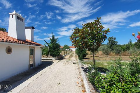 Villa i Tomar, Santarem, Tomar - € 850.000 | Ref: SP082 - foto 5