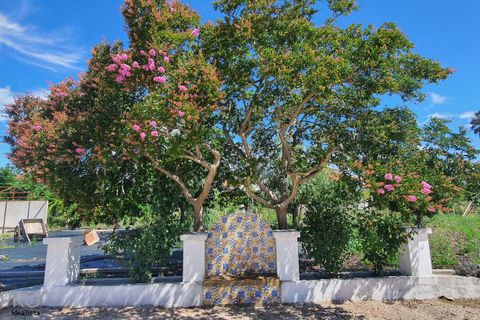 Villa i Tomar, Santarem, Tomar - € 850.000 | Ref: SP082 - foto 6